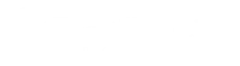 Tomatilo Recipes logo